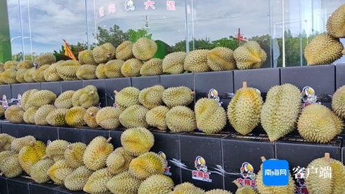 国产榴莲好吃么视频网站,视频网站带你品尝地道风味