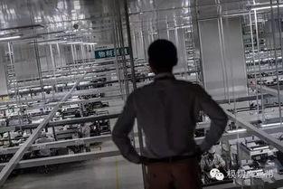 国产手机生产车间视频