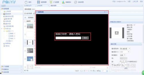 国产共享视频在线播放