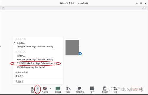 国产共享视频在线播放  第2张